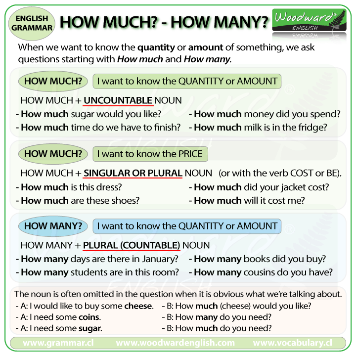 How Much How Many English Grammar