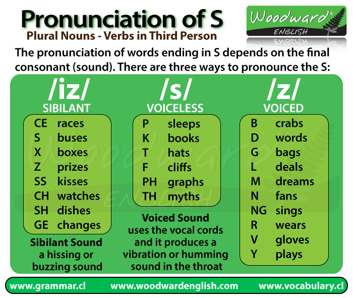 PRONUNCIATION PLURAL NOUNS AND VERBS 3 PERSON English Time