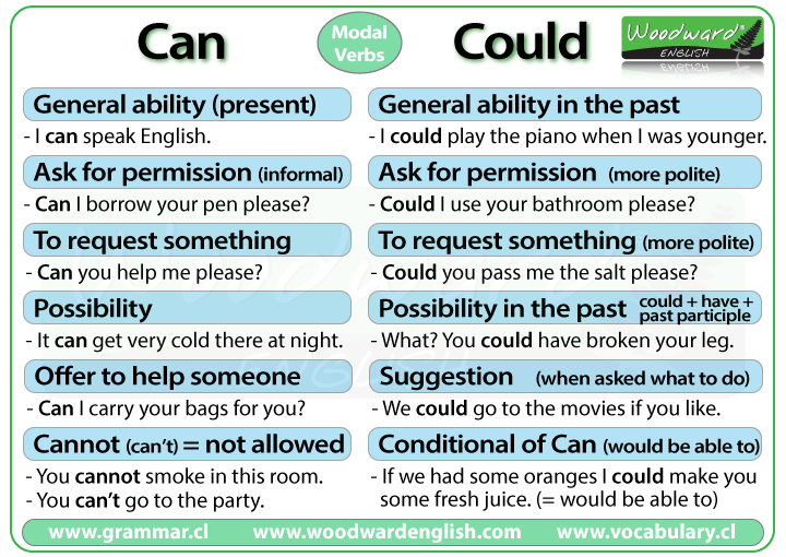 Could vs. Should in the English grammar