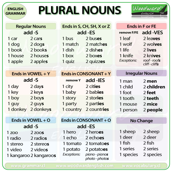 Plural Nouns Exceptions Worksheets
