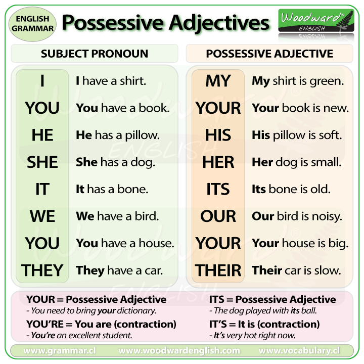 Possessive Adjectives Effortless English