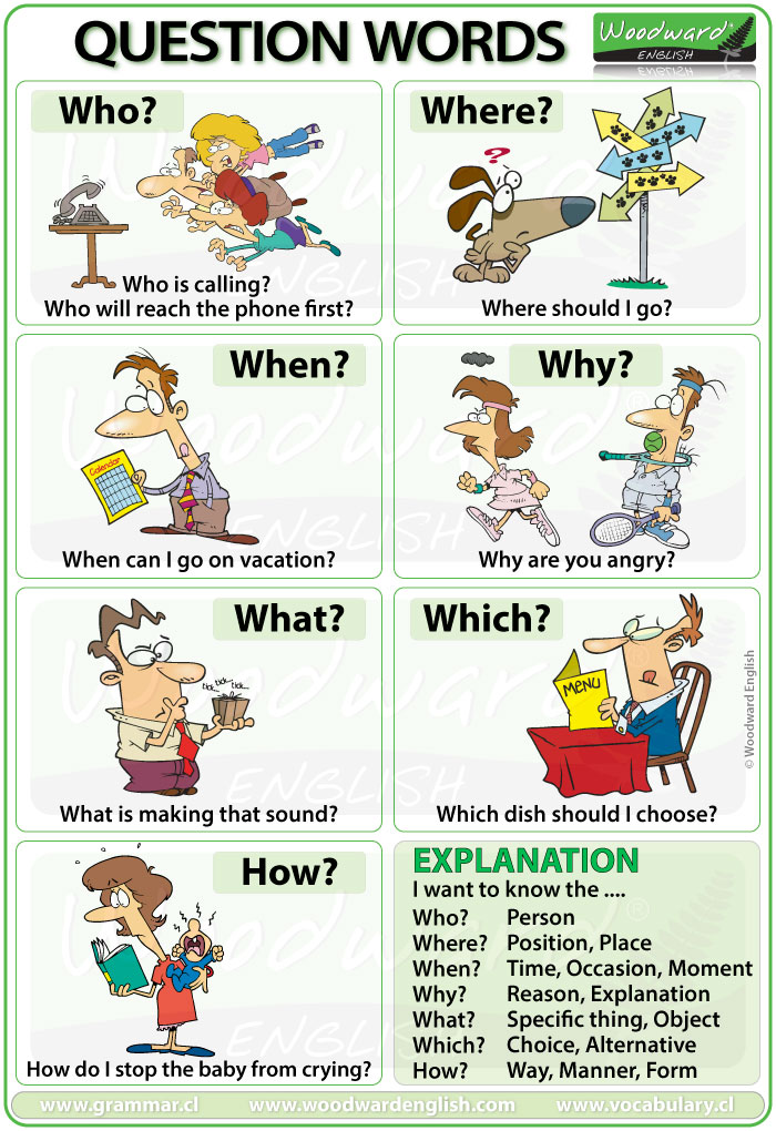 Question Words in English - Who When What Why Which Where How