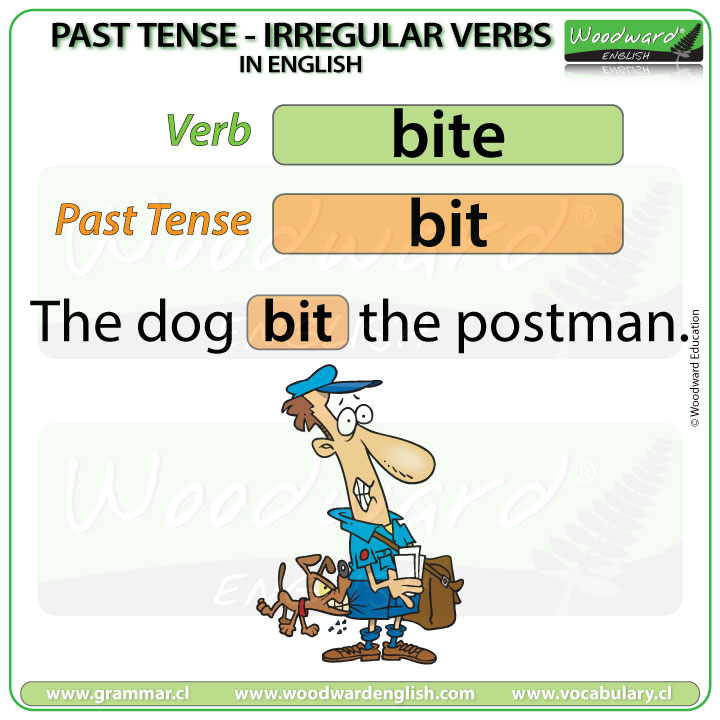 Past Tense of BITE in English