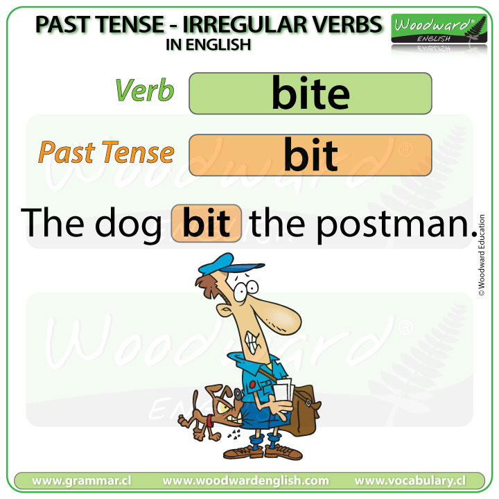  Past Tense Of BITE In English English Grammar Lesson