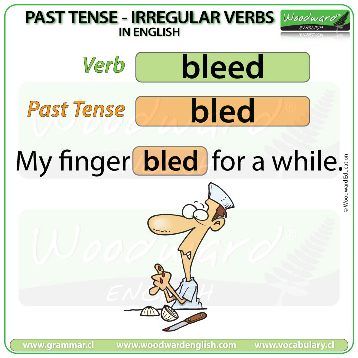 Past Tense of BLEED in English