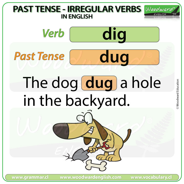 Past Tense of DIG in English - English Grammar Lesson - Learn English  Irregular Verbs