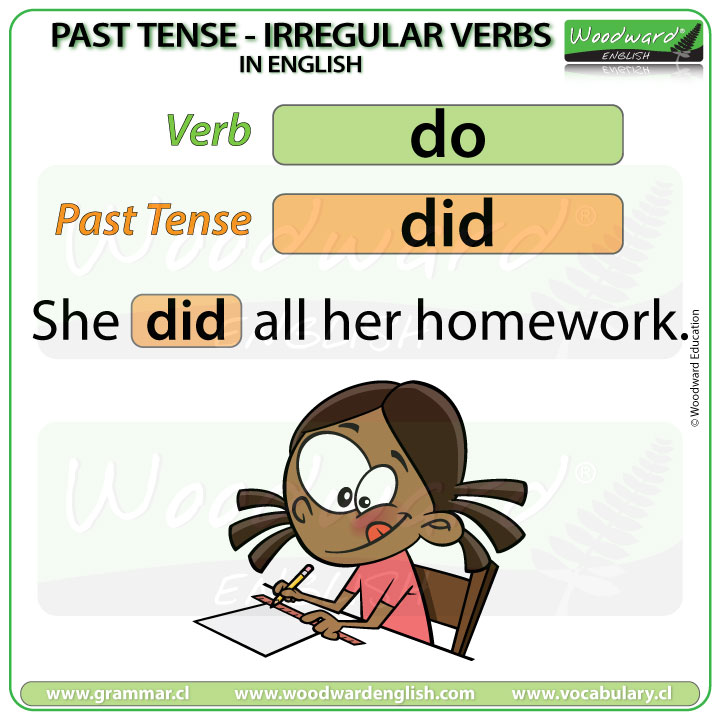 Past Tense of DO in English with an example sentence