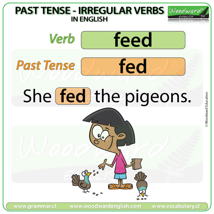 Past Tense of FEED in English with an example sentence