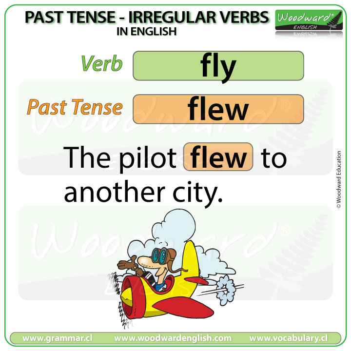 the past tense of fly is