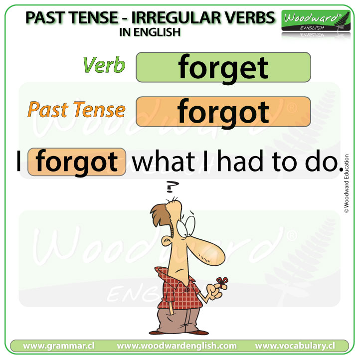 Past Tense of FORGET in English with an example sentence