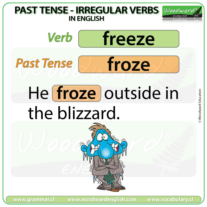 Past Tense of FREEZE in English with an example sentence